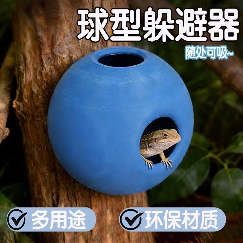 蜥蜴蛋形悬挂窝吸盘洞穴攀爬图片