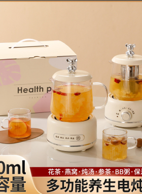 多功能养生壶小型花茶炖煮杯