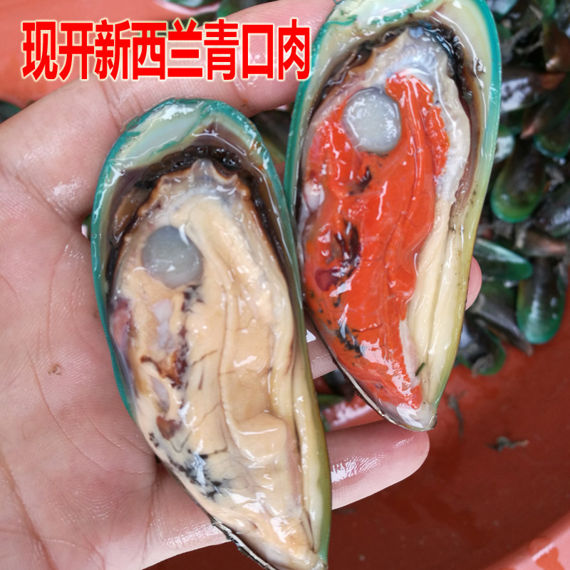 【争鲜海鲜】当天海捕新西兰青口贝 海虹 淡菜贻贝 青口肉 250g