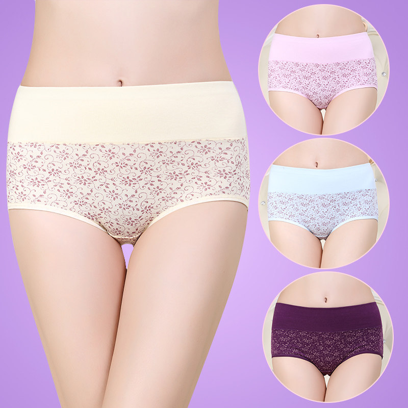 Slip jeunesse HSMK30 en coton - Ref 641838 Image 3