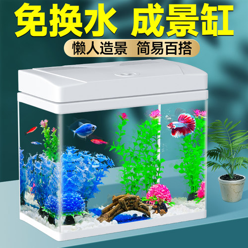 鱼缸客厅小型家用桌面水族箱免换水自循环生态迷你新型观赏金鱼缸