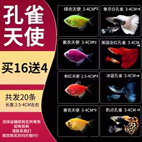 2,5-4 см Ангел Павлин 16 Статья 4 (всего 20) (20)