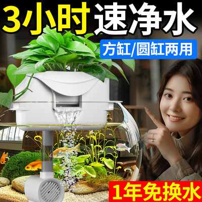 圆形鱼缸过滤器三合一循环泵小型滴流盒过滤盒水陶瓷缸专用净水器