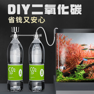 自制二氧化碳疯狂水草