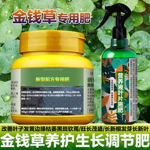 金钱草专用肥料养殖盆栽种植水培土培绿植物营养液家用型有机肥料