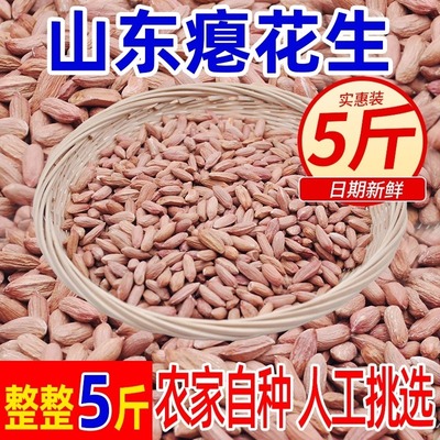 山东瘪花生米养胃瘪花生干瘪小花生米新鲜瘪花生米小粒代餐花生仁