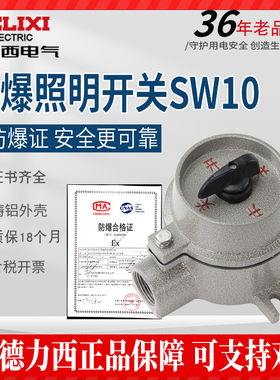 德力西SW10防爆照明开关10A控制开关 铝合金防爆开关220v