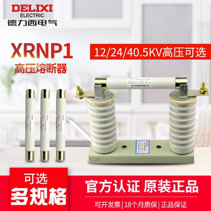 德力西熔断管 XRNP1-12 高分断能力高压限流熔断器12KV 0.5-1A