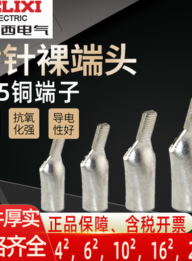 德力西C45紫铜插片DZ47空开插针冷压接线端子线耳鸭嘴型插片1.5