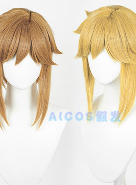 Aicos动漫塞尔达传说假发