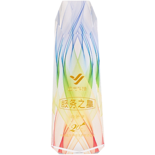 水晶奖杯定制定做冠军2025新款创意树脂年会优秀员工高档大气冠军