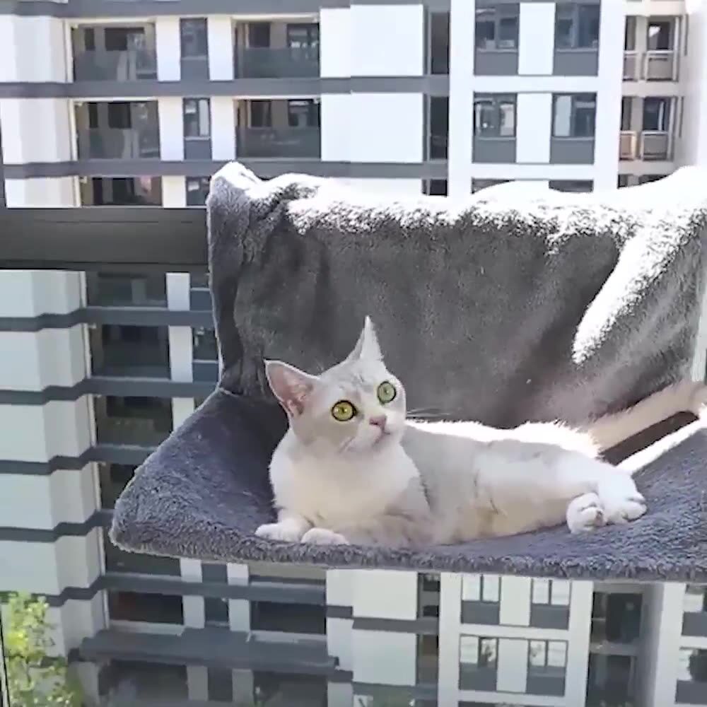 床边猫窝挂咪吊床宠物床