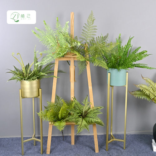 仿真蕨草厂家植物墙软装
