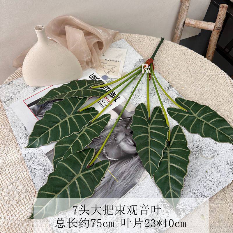 绿植手感龟背叶观音叶彩