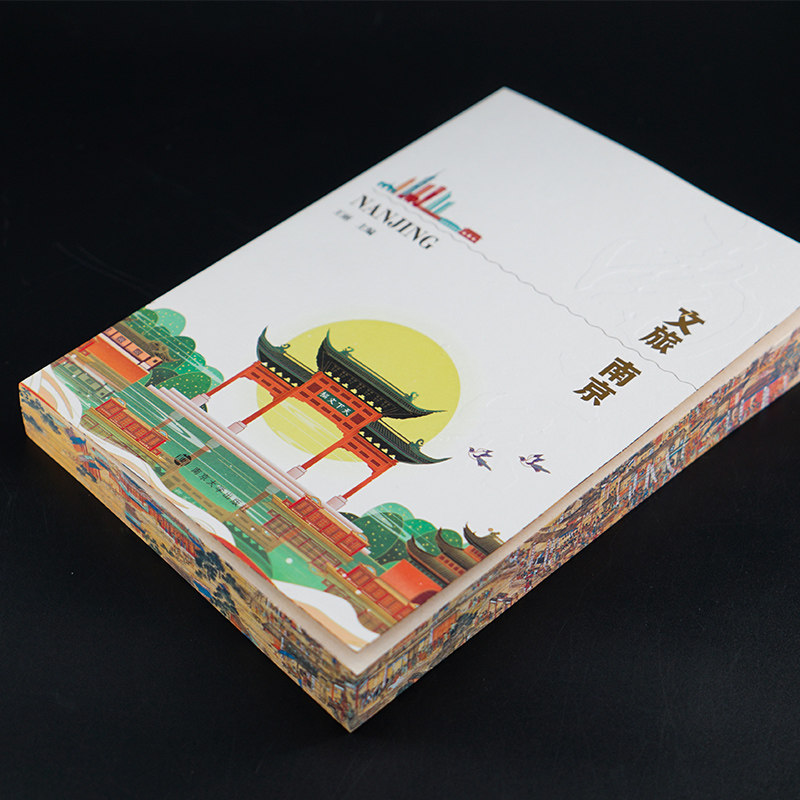 【一本书带你玩转南京景点】文旅南京 王丽 主编 南京大学出版社 全面介绍南京景区景点的人文类书籍 南京市导游资格证考试参考书