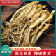 人参长白山一元 一根小人参新鲜现挖小鲜参泡酒煲汤火锅饭店专用参
