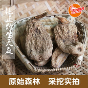 Pure wild Tianma natural fresh Sichuan Qingchuan Wutianma non-Yunnan Tibet Changbai Mountain dry goods 150g