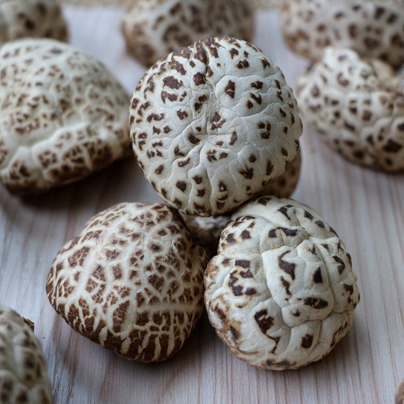 青川小花菇平武冬菇神龙架农家干货广元土特产椴木香菇250g