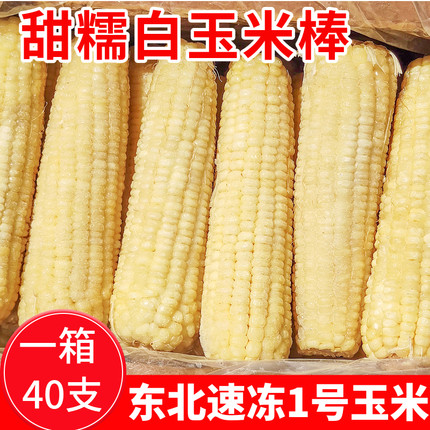 白黄玉米棒 1号玉米东北冷冻粘糯玉米甜粘新鲜糯玉米40根18-20cm