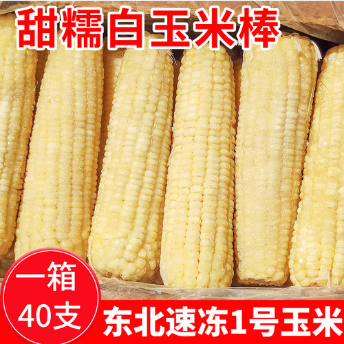 白黄玉米棒1号玉米东北冷冻