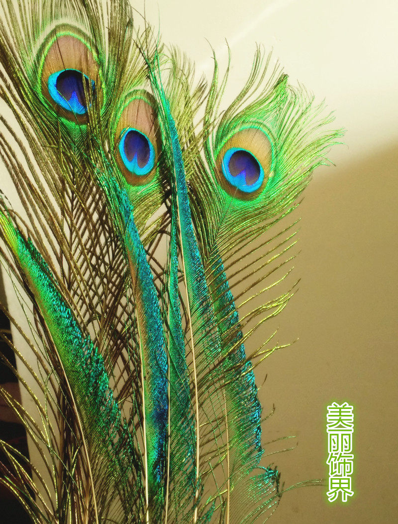 印度新款全新真孔雀羽毛翎尾保真 diy插花瓶装饰品满36包邮手工