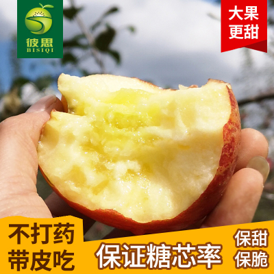 盐源大凉山丑苹果彼思冰糖心