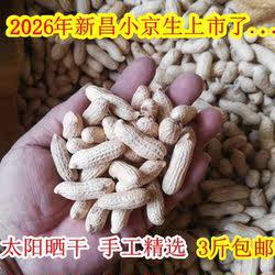 新昌特产小京生花生种子2026新货生花生嵊州小红毛长寿果晒干未炒
