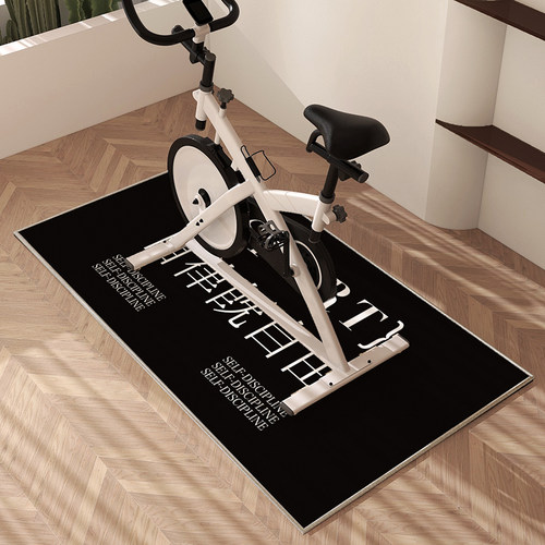 健身车地垫跑步机垫子椭圆机防滑垫静音减震专用隔音地毯健身毯