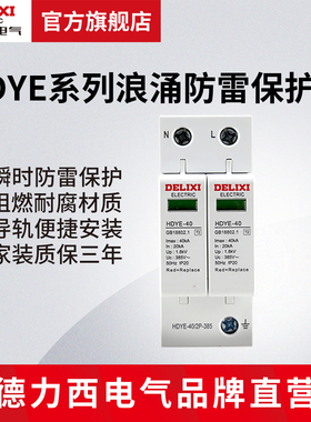 德力西电气浪涌保护器2p25ka家用避雷器保护器40ka电涌保护器220V