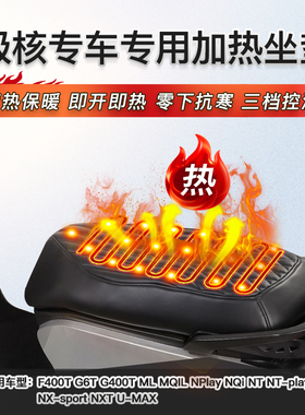 适用极核AE2 AE4 AE5 AE7 AE8 EZ3i EZ4电动车防水坐垫套加热座套