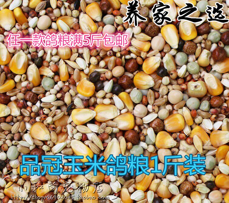 满5斤包邮品冠有玉米鸽粮信鸽观赏鸽肉鸽饲料赛飞营养鸽粮500克装