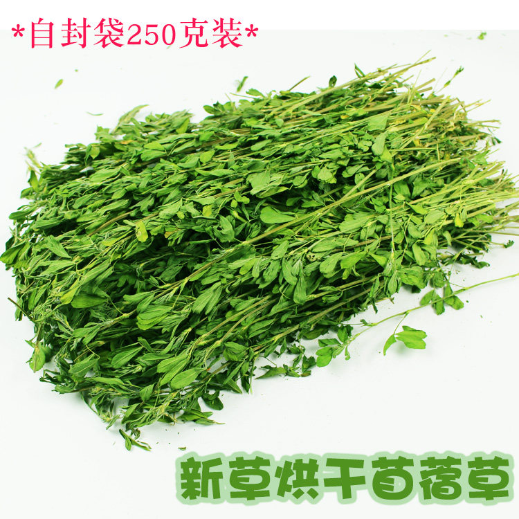 新烘干紫花苜蓿草不是提摩西兔粮草豚鼠荷兰猪250g袋装买三一,宠物/宠物食品及用品,兔兔干草,淘宝优惠券,粉丝福利购,淘宝优惠卷