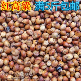 红高粱 饲养鸽子鸽粮 鹦鹉玄风和尚鸟粮鸟食仓鼠食物 500g满5包邮