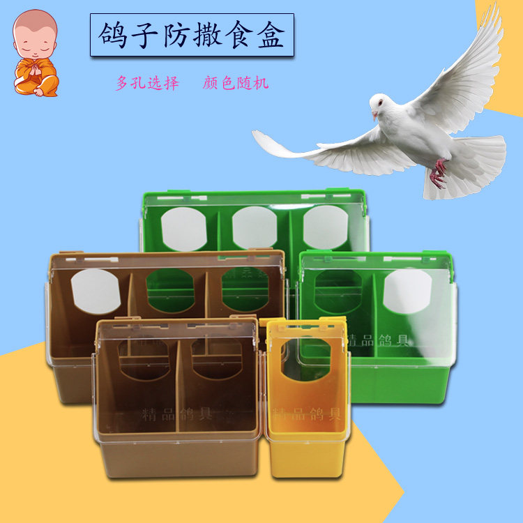 包邮鸽子防撒可固定食盒水壶砂盆斑鸠鸡金刚食盒盆鸽子用品食槽