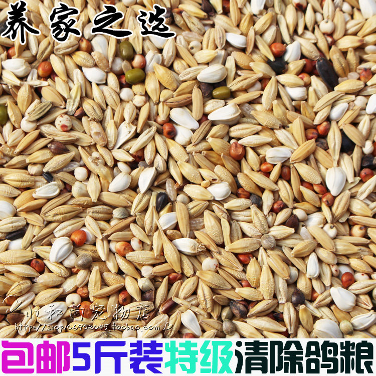 包邮5斤装品冠特a级鸽粮赛鸽清除饲料信鸽粮核能换毛期能量饲料