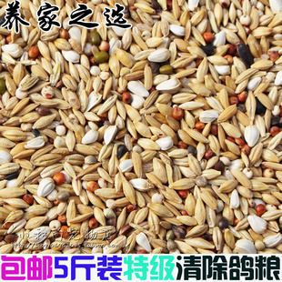 包邮5斤装品冠特A级鸽粮赛鸽清除饲料信鸽粮核能换毛期能量饲料