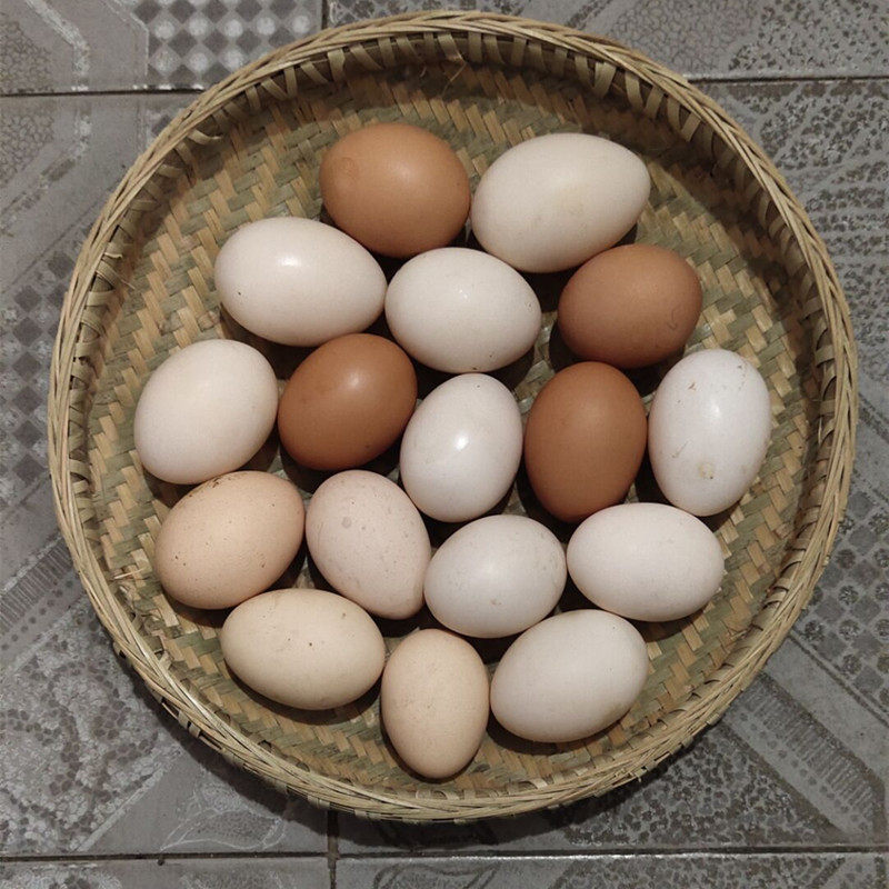 土鸡蛋新鲜农村自家散养粮食鸡蛋30枚月子营养蛋包邮到家