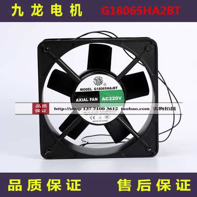 G18065HA2BT九龙电机220V风扇