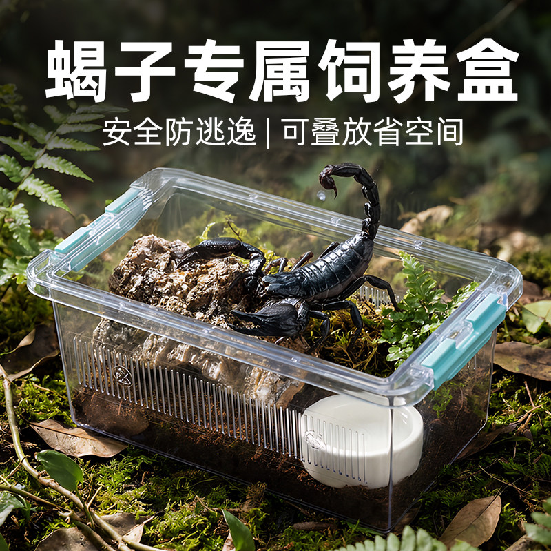 蝎子专用造景饲养盒套装爬虫亚克力箱雨淋蝎守宫蜥蜴蜘蛛生态缸
