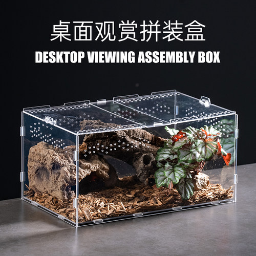 爬宠饲养箱亚克力爬宠箱蜘蛛守宫蜥蜴蝎子蜈蚣饲养盒高透拼装盒 - 封面