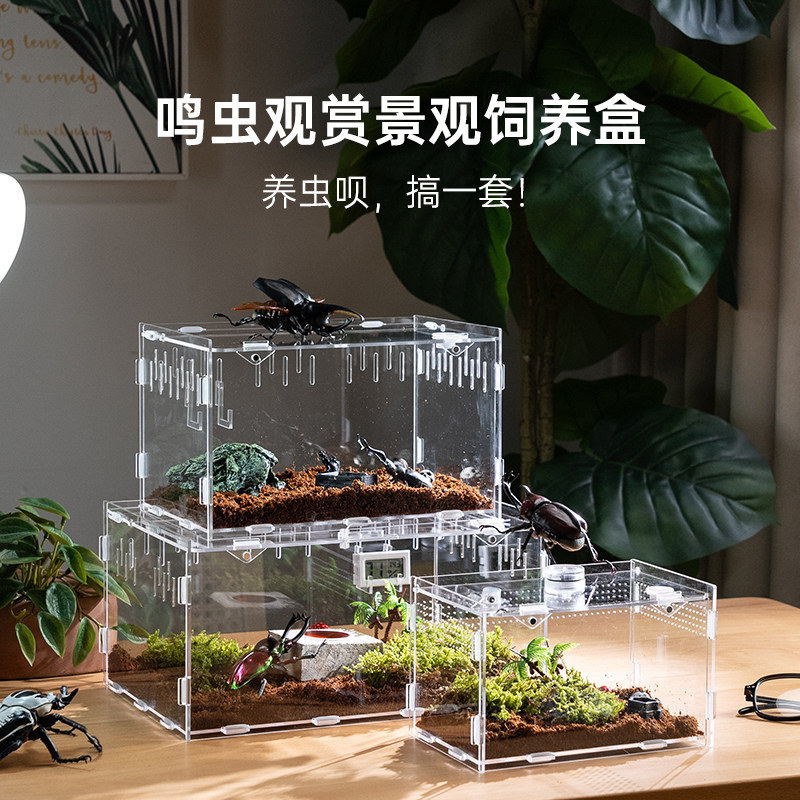 昆虫幼虫饲养盒亚克力小型生态盒观察造景甲虫蜗牛蜘蛛守宫养殖箱