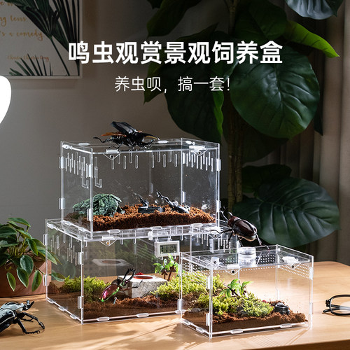 酷克宠物甲虫饲养盒高透观赏