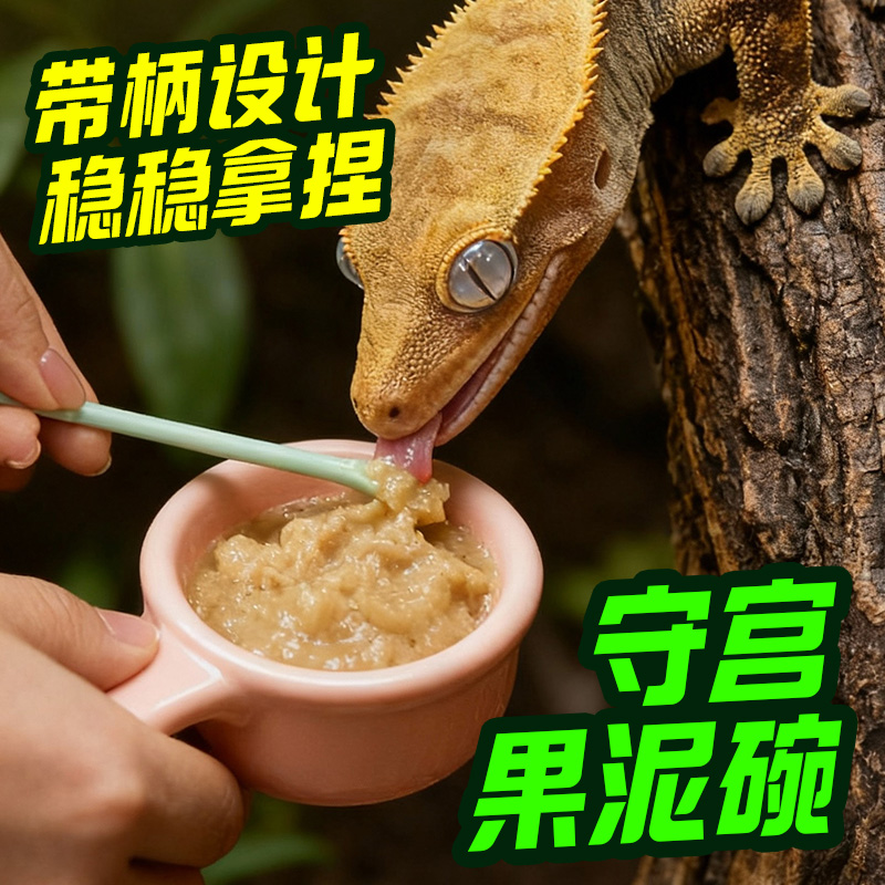 爬宠陶瓷果泥食盆凝胶小勺套装