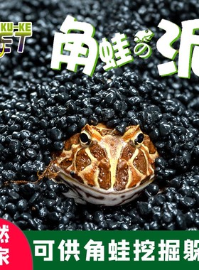 酷克SuperRep爬宠角蛙泥爬虫角蛙饲养盒两栖蝾螈地垫黑色活性炭