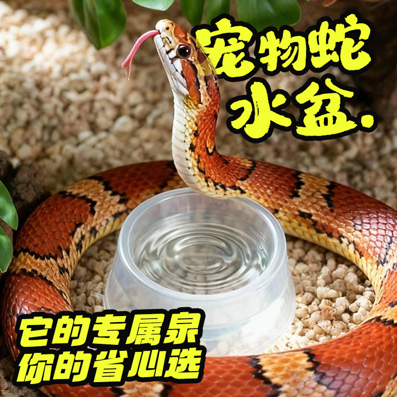 酷克宠物蛇树蛙豹纹守宫专用水盆