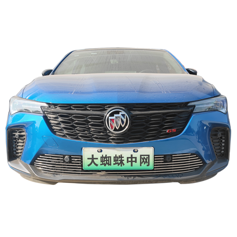 威朗pro前脸中网霸气改装