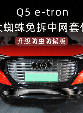 奥迪q5etron中网前脸保险杠前铲防虫网外观改装件装饰条专用配件