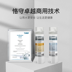 滤芯 进口家用厨房台下式 新品 自来水净水器 BWT倍世原装