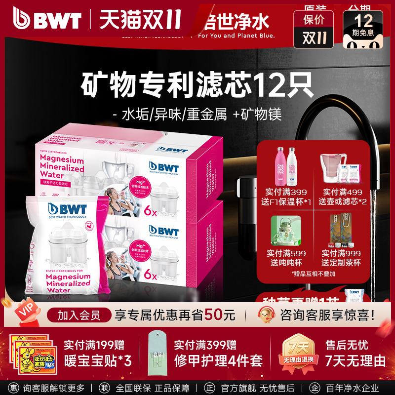 BWT倍世滤芯德国净水壶过滤水壶净水器通用碧然德进口镁离子滤芯