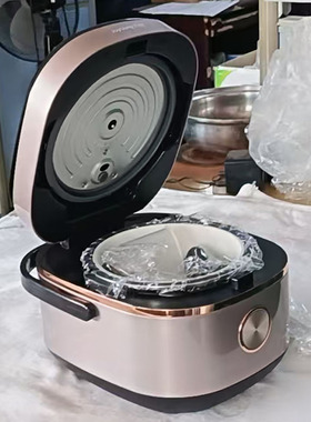 九阳F20T-F520电饭煲家用智能多功能不锈钢内胆快速煮饭锅